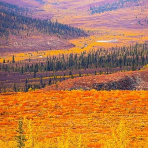 Meet your Posher, Marie